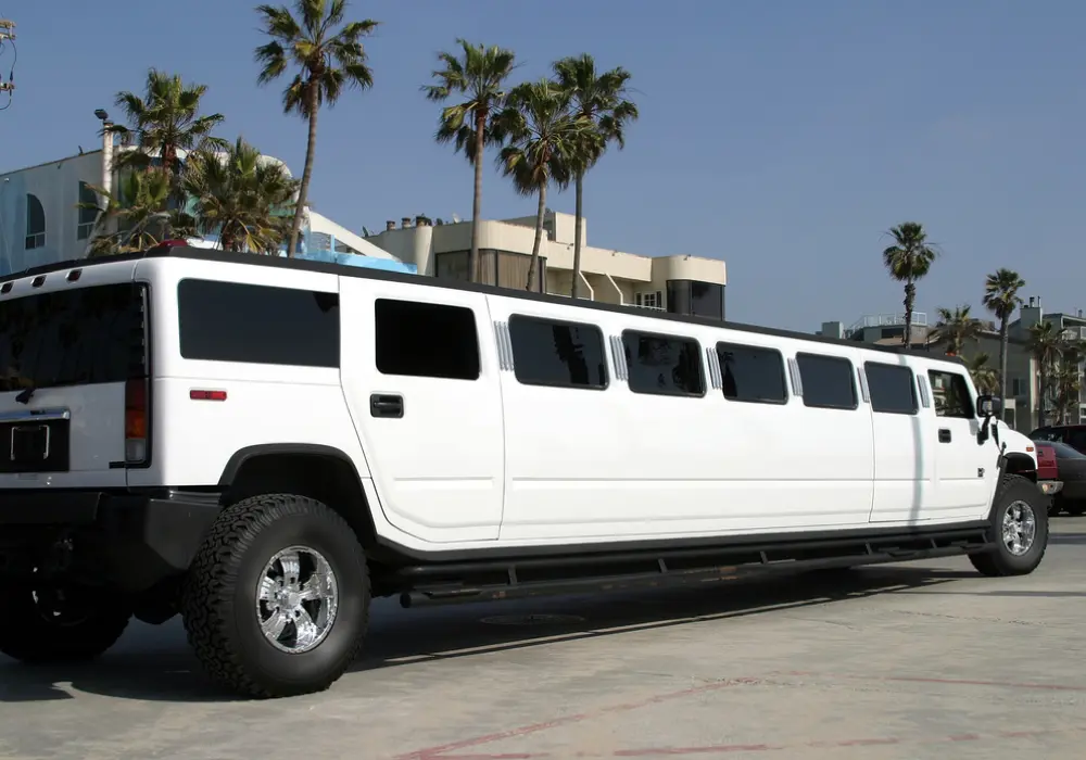 a long white limousine parked in front of palm trees