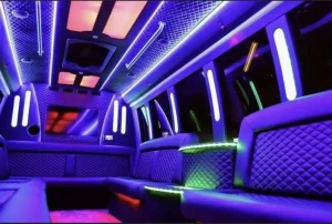 23 Passenger Party Bus