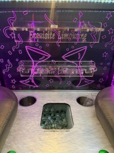 28 Passenger Party Bus with 2 Poles