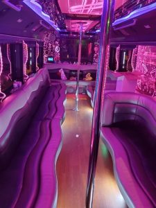 28 Passenger Party Bus with 2 Poles