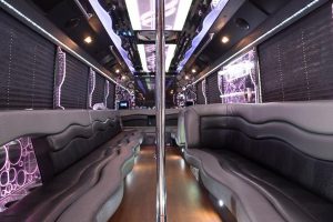 28 Passenger Party Bus with 2 Poles
